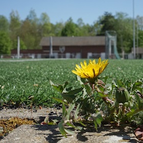 Neuer Kunstrasenplatz